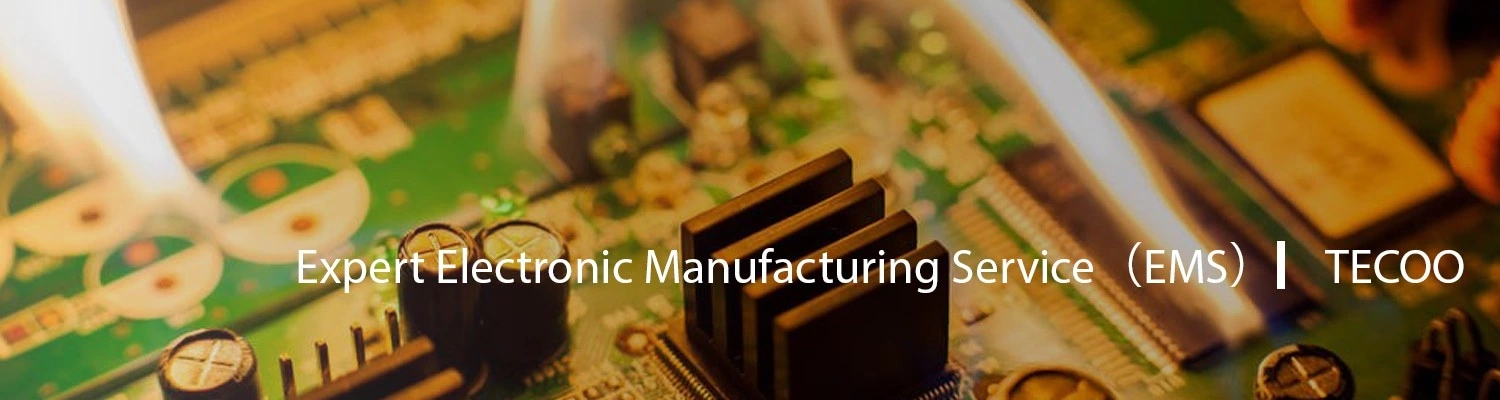 Electronic Manufacturing service