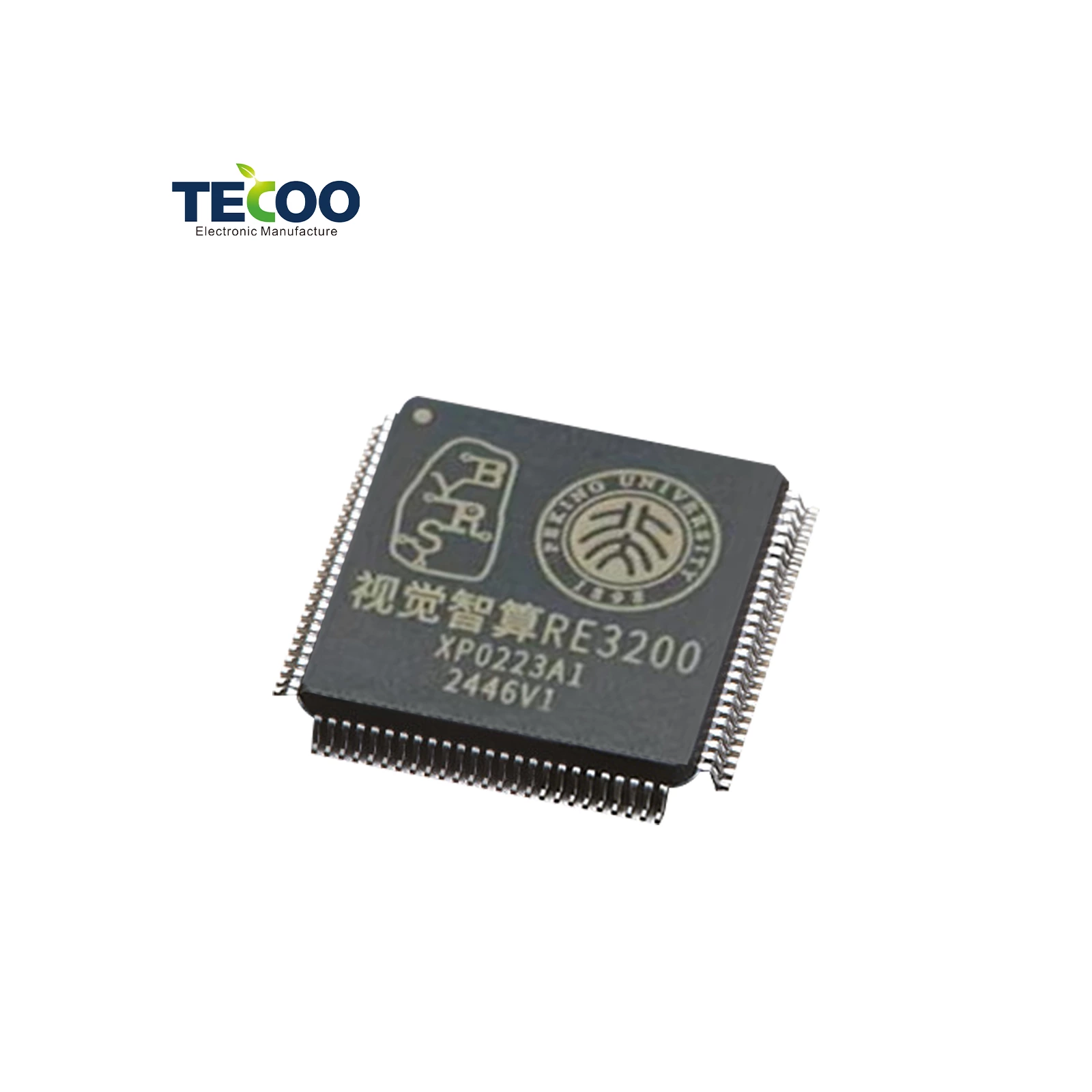 AI Chip for Security