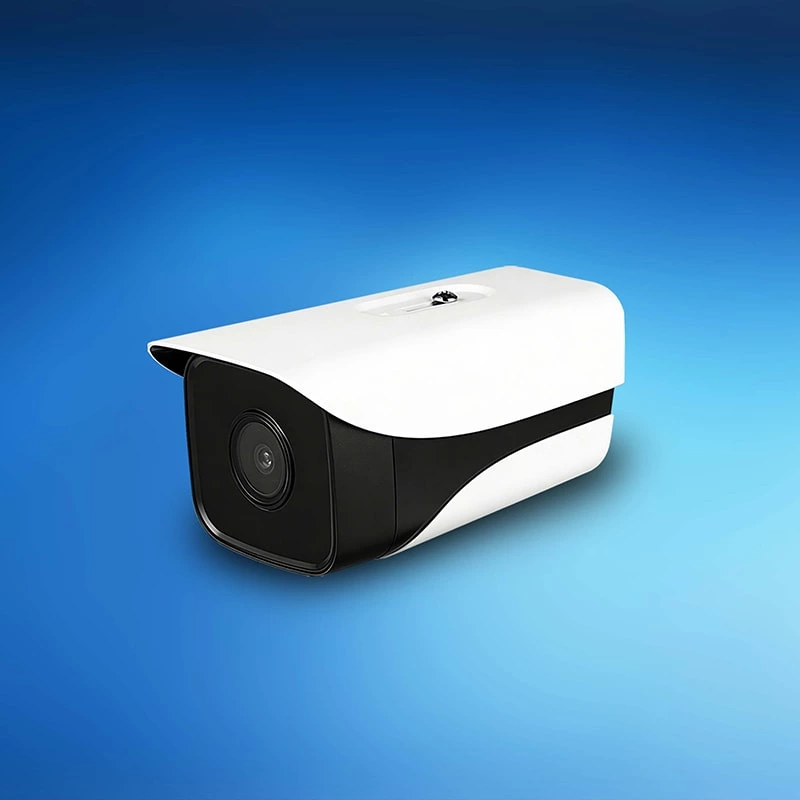 Security Electronics