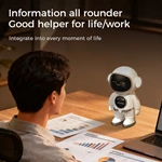 Smart AI Voice Companion Robot Toy